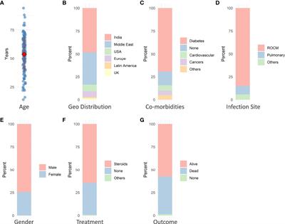 Mucormycosis in the COVID-19 Environment: A Multifaceted Complication